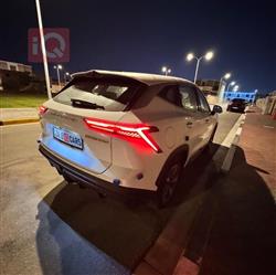 جيتور داشينج
